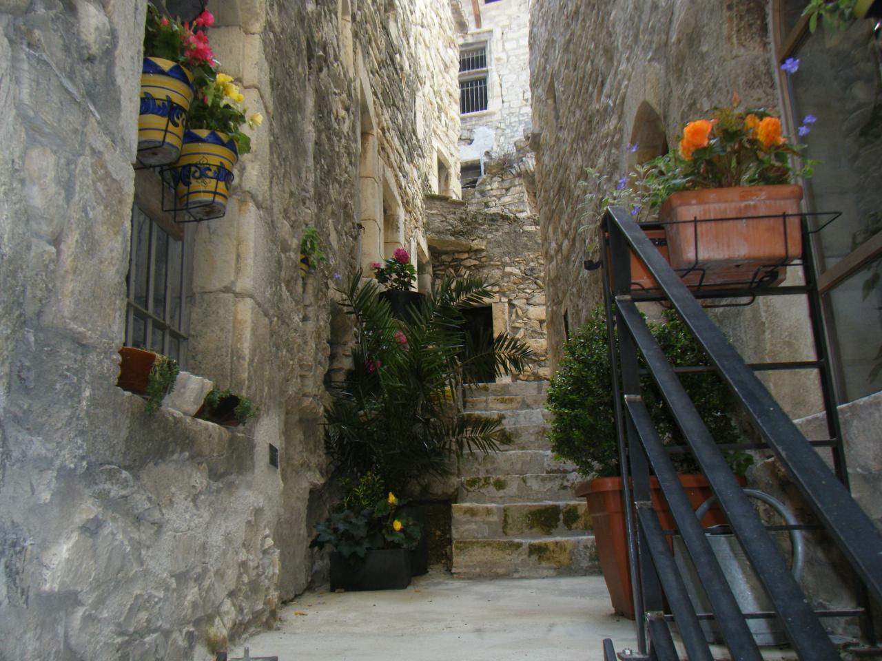 DSCF4036