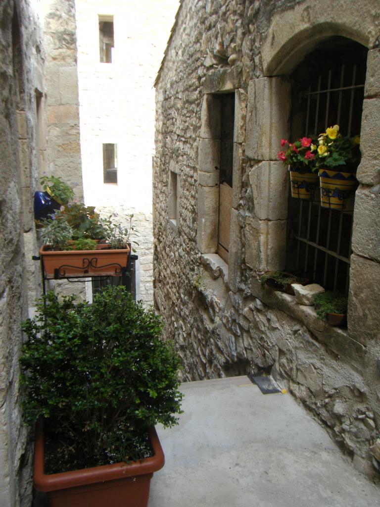 DSCF4041