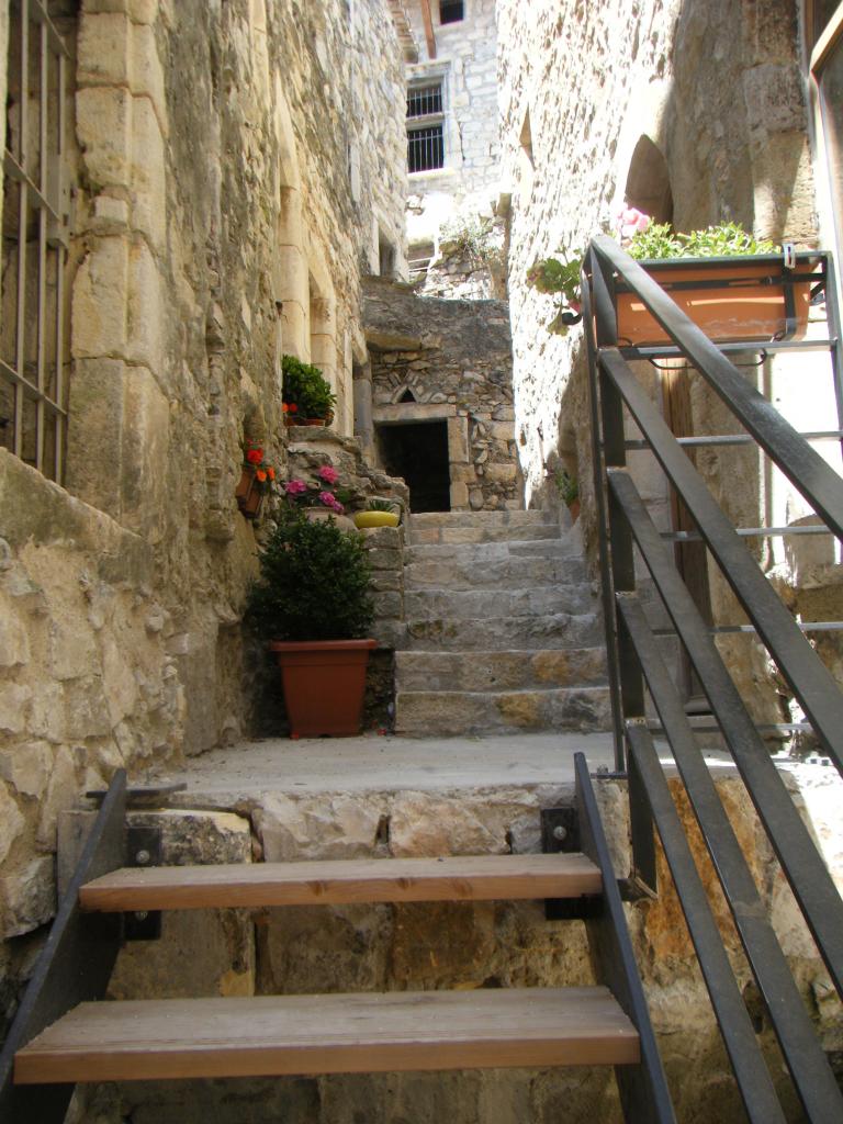 SITE MEDIEVAL CRUAS 06.2011 (1)