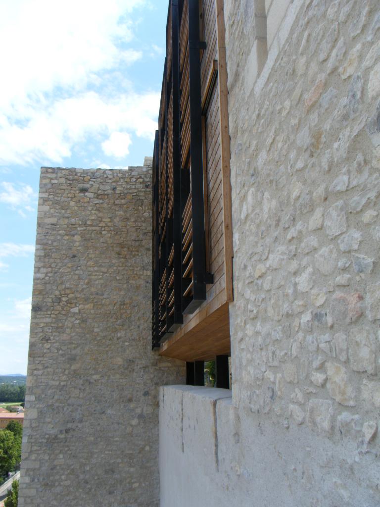 SITE MEDIEVAL CRUAS 06.2011 (15)
