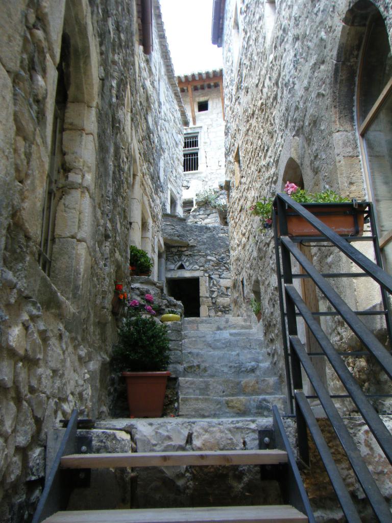 SITE MEDIEVAL CRUAS 06.2011 (2)