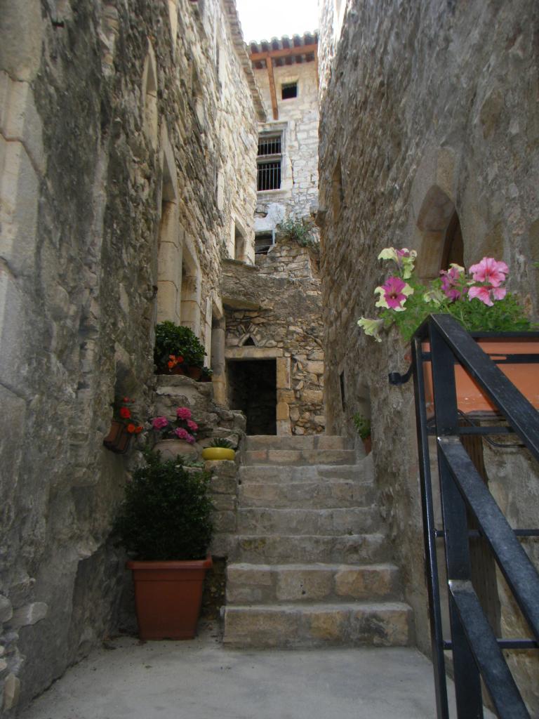 SITE MEDIEVAL CRUAS 06.2011 (5)